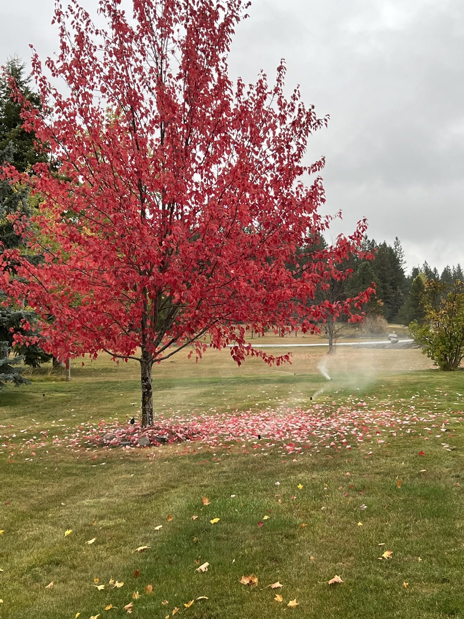 Irrigation Drainage Service Coeur Dalene Idaho 072