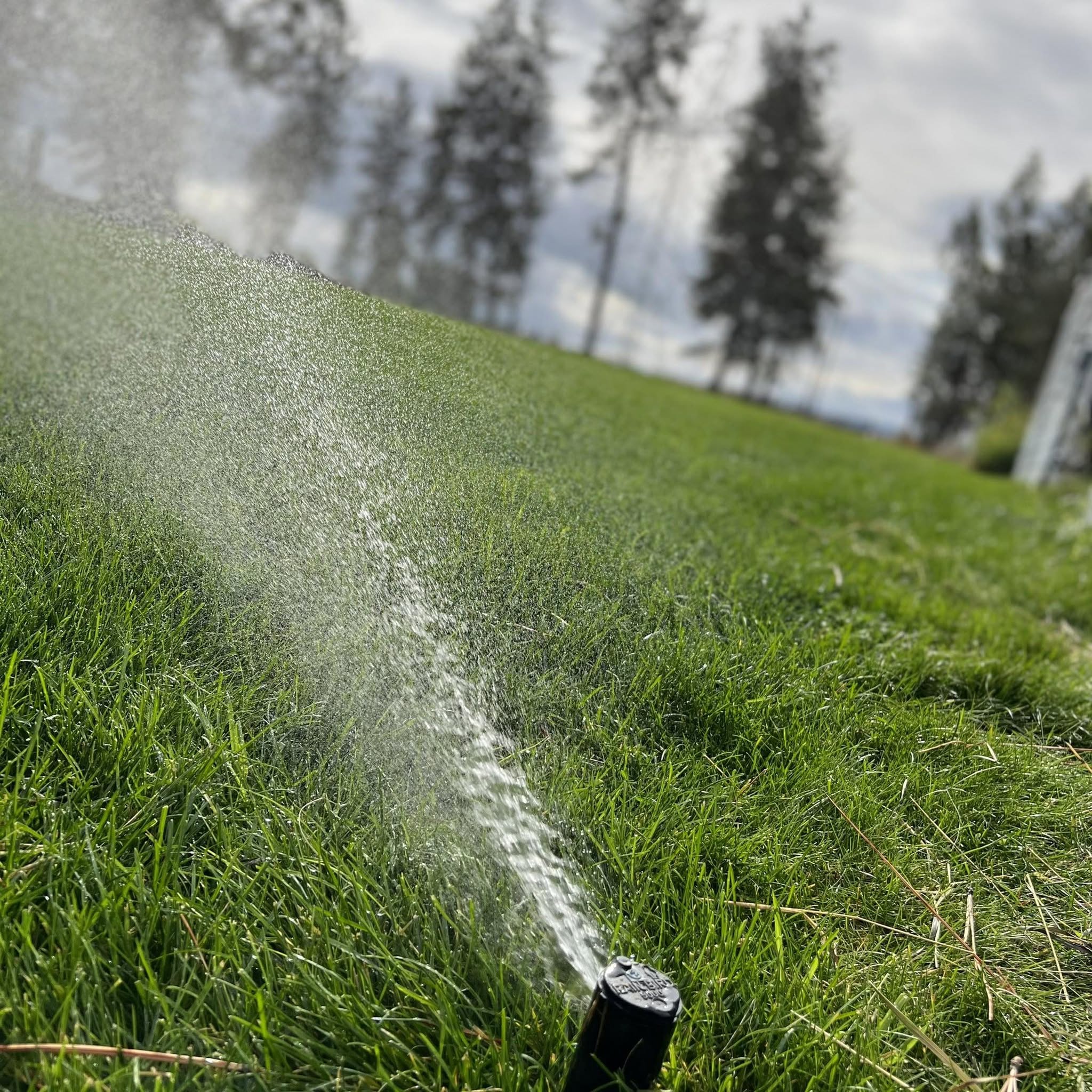 Landscape Drainage Project Coeur Dalene Idaho 002
