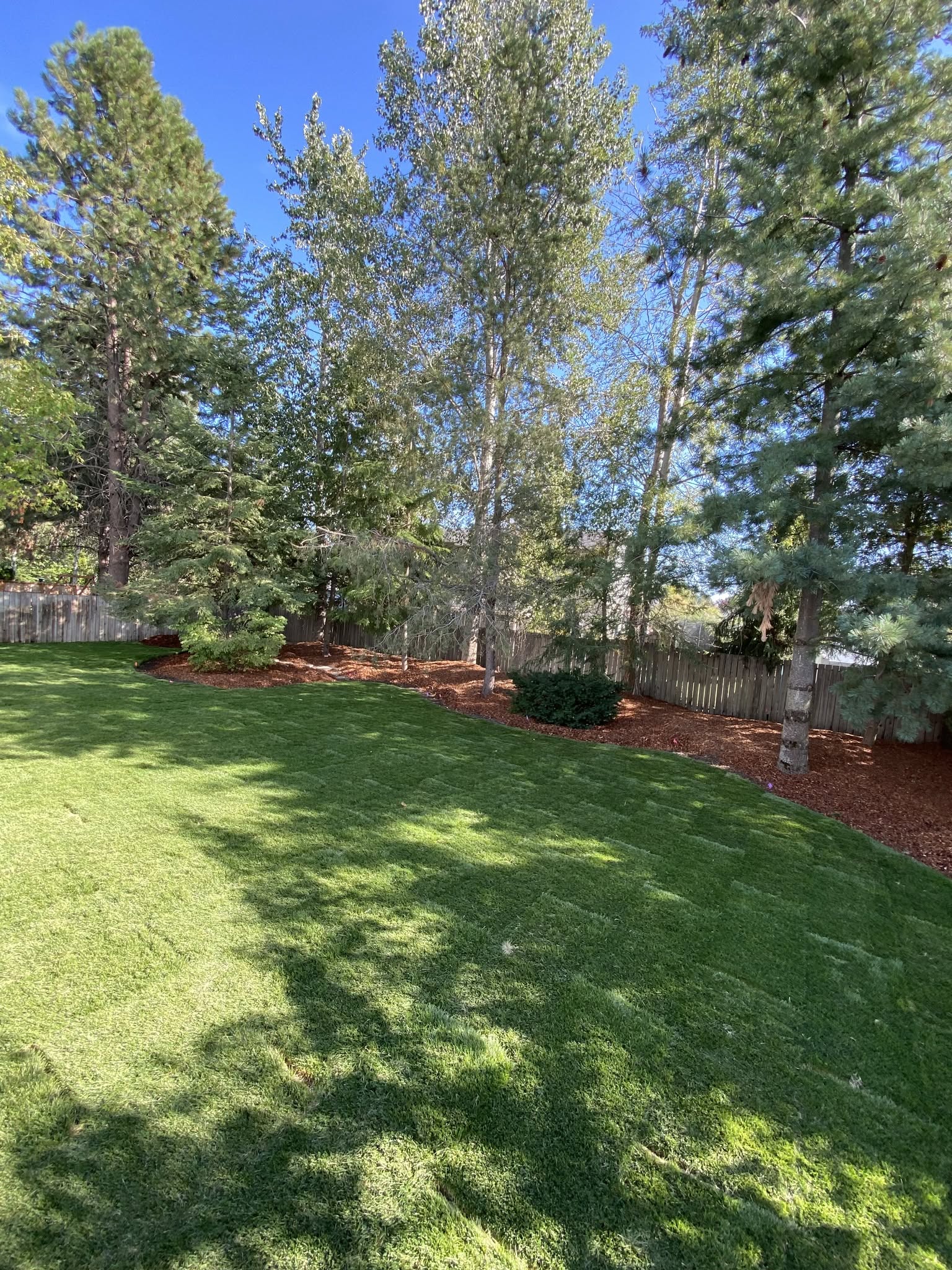 Landscape Drainage Project Coeur Dalene Idaho 050