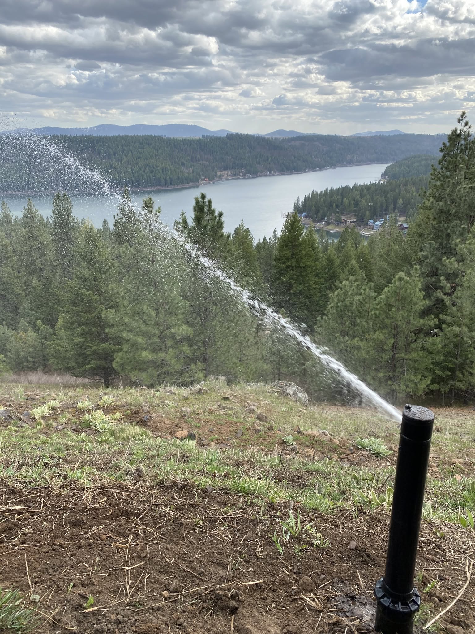 North Idaho Property Work Coeur Dalene Idaho 009