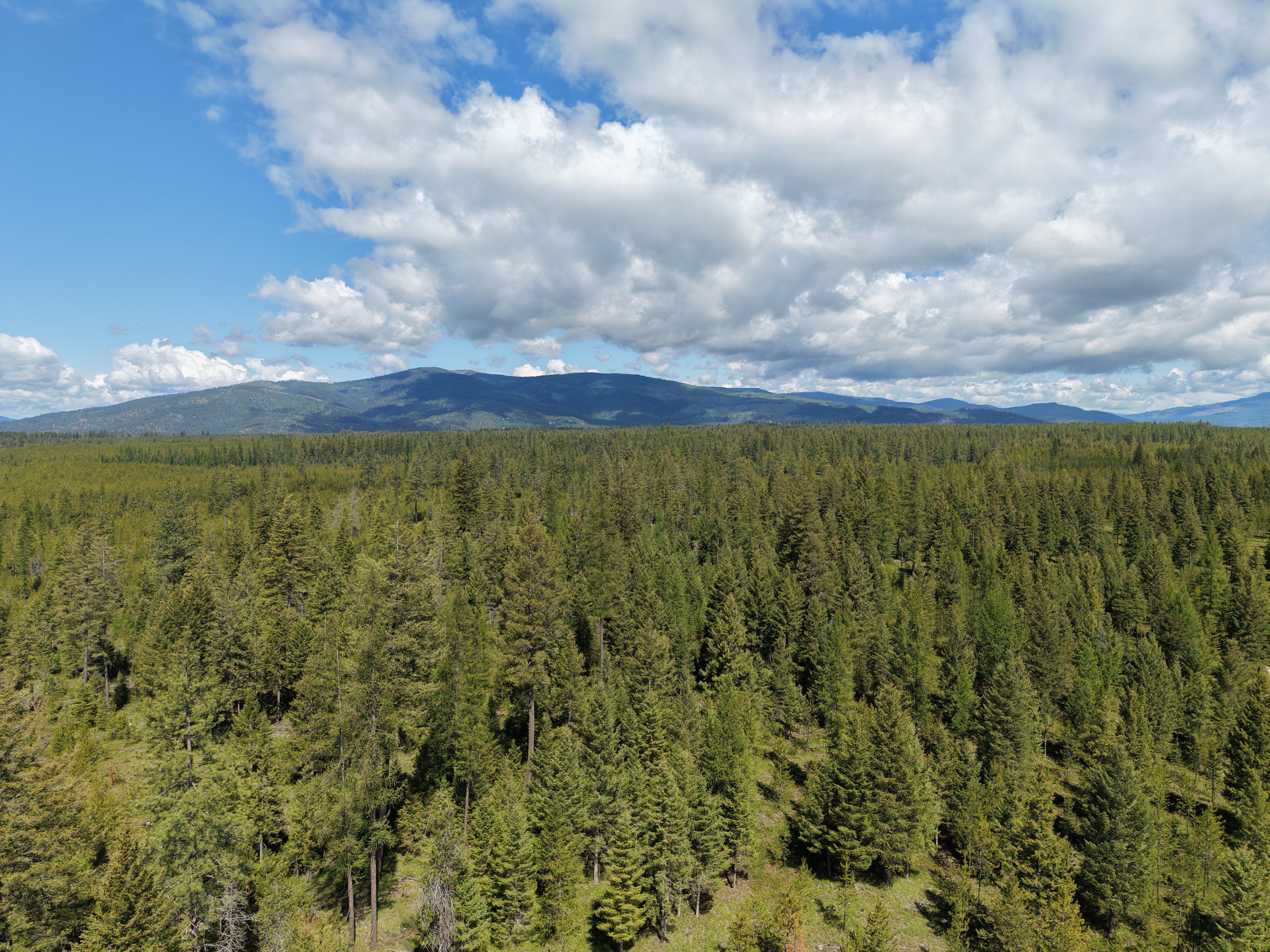 North Idaho sprinkler and landscape project
