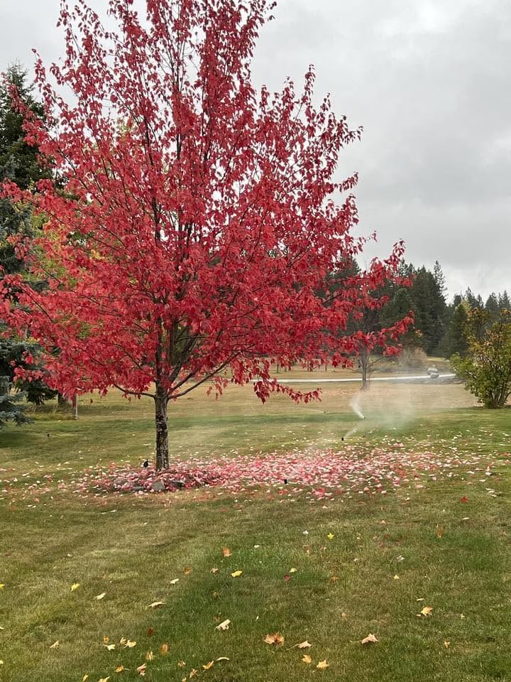 Sprinkler Irrigation Project Coeur Dalene Idaho 073